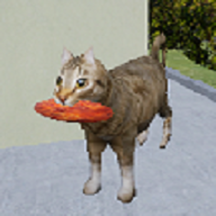 How to meet a woman Image