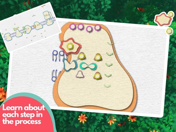 Powerhouse of the Cell Image