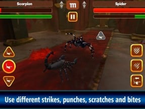 Scorpion Fight: Insect Battle Image