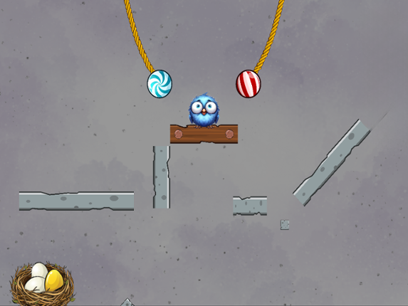 Bird In The Nest Image