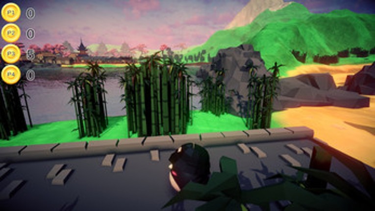 Bird Run Image