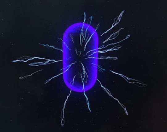 WormHole Image