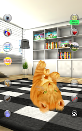 Talking Lovely Cat Image