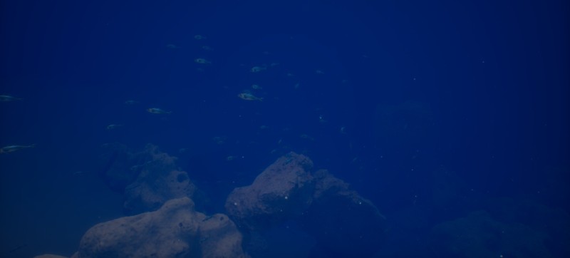 Halu - The Fish Image