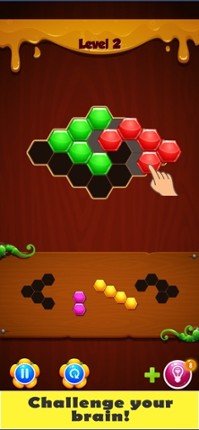 Hex Block Puzzles screenshot