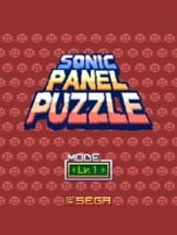 Sonic Panel Puzzle Image