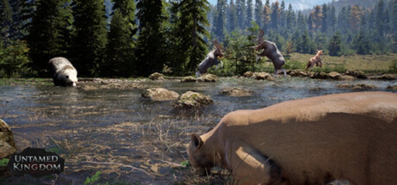 Untamed Kingdom Image