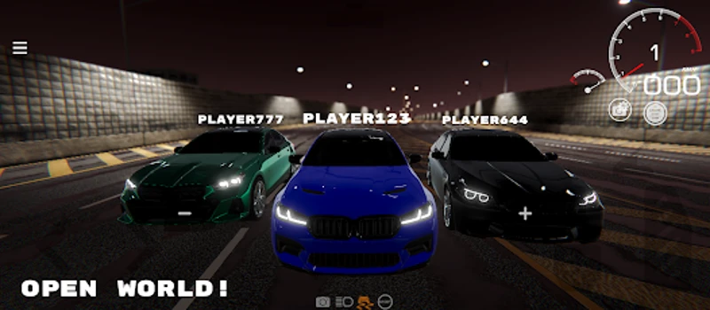 PROJECT R: Ultra Car Simulator Image