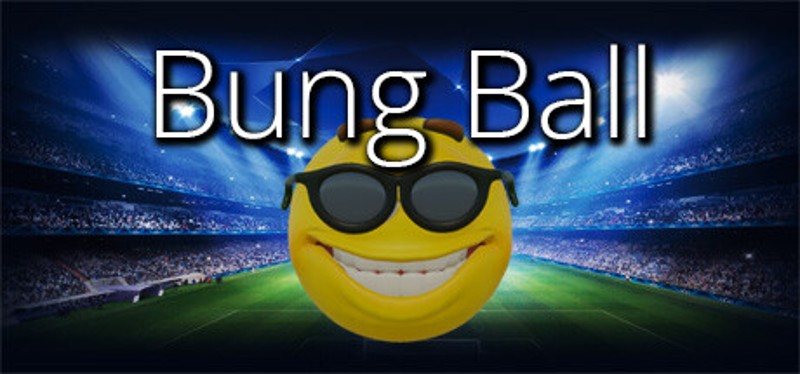 Bung Ball Image