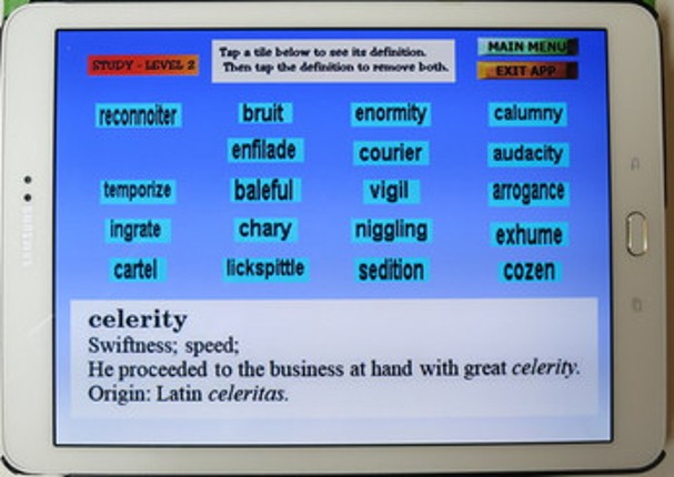 Word Challenge - Set 2 screenshot