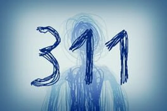 311 Image