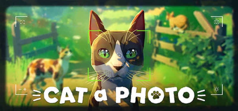 Cat a Photo Image