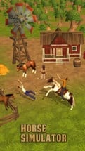 Horse Simulator Image