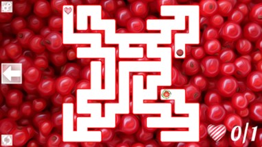 Maze Art: Red Image