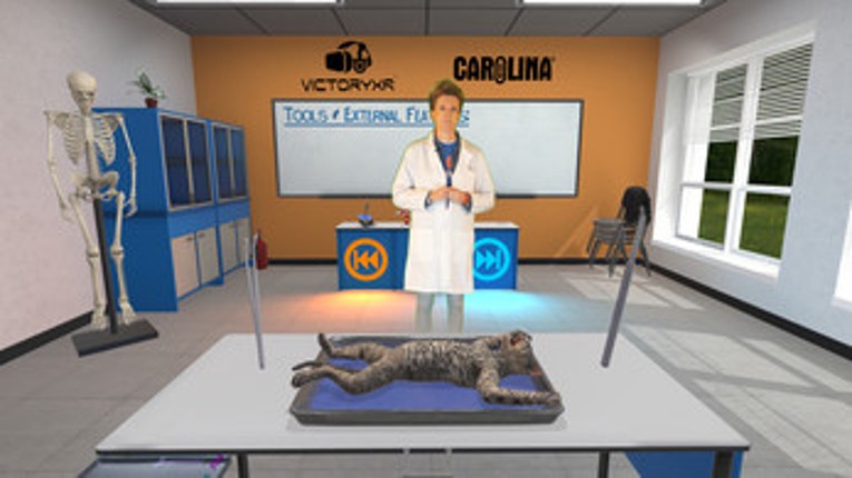 VR Cat Dissection: Purr-fect Procedure Image
