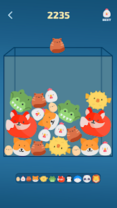 Tamago - the surprising egg Image