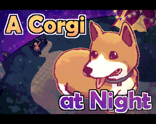 A Corgi At Night Image