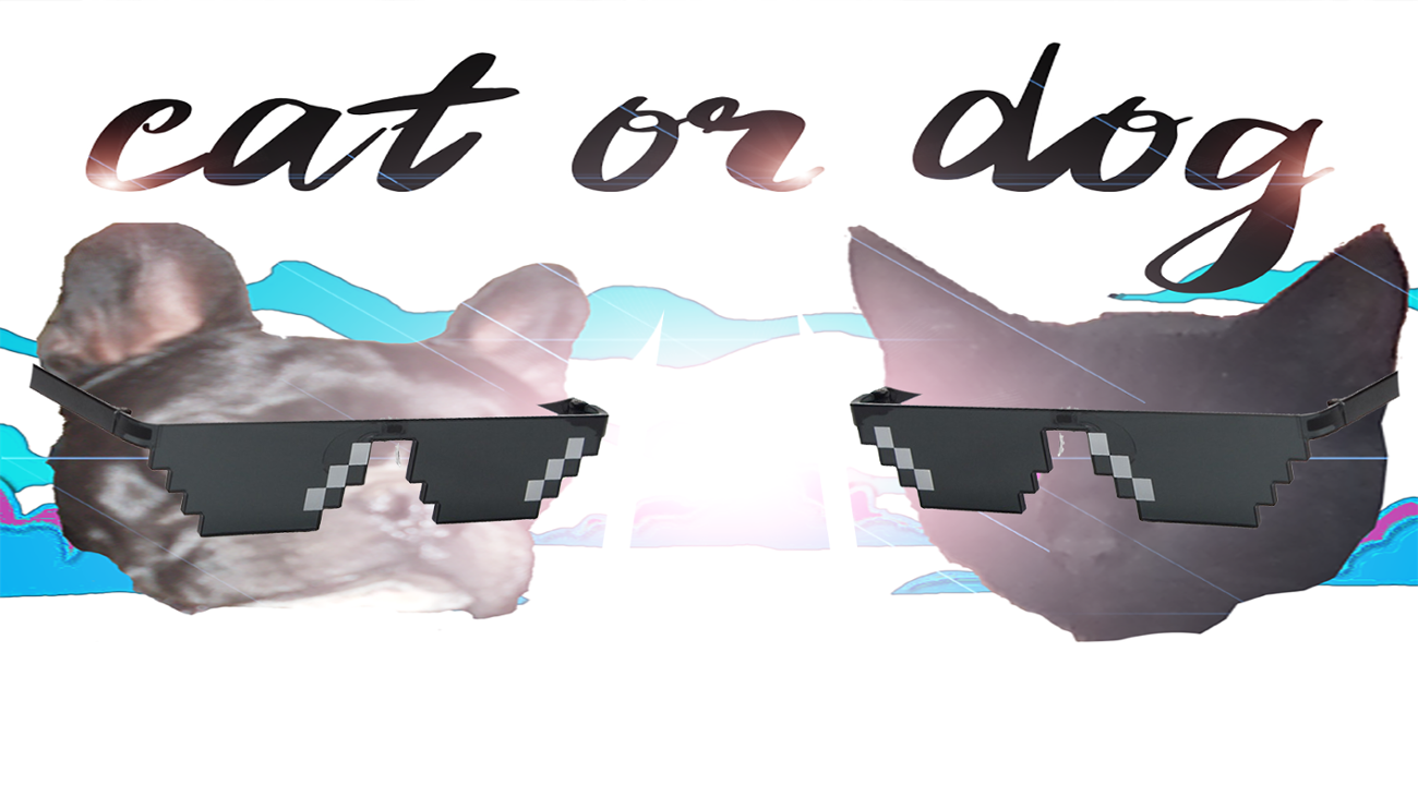 Games like JUEGO GRATIS. Cat or Dog