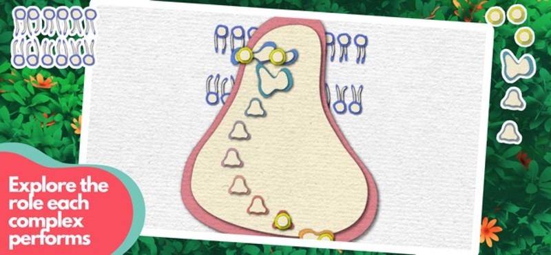 Powerhouse of the Cell screenshot