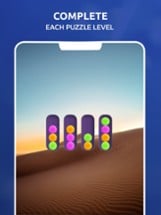 Sort Voyage: Ball sorter Image