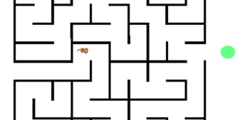 CatMaze with NC screenshot