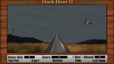 Duck Hunt 2 Image