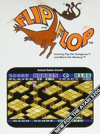 Flip & Flop Game Cover