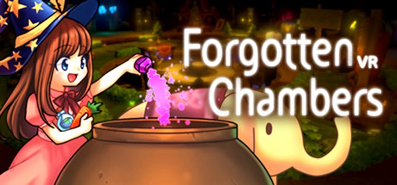 Forgotten Chambers Game Cover