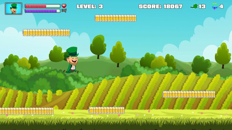 Saint Patrick's Day Run Image