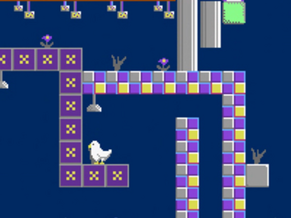 Final Duck Image
