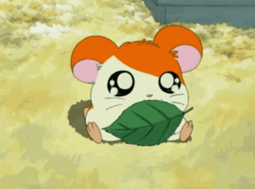 Games like Go! Hamtaro