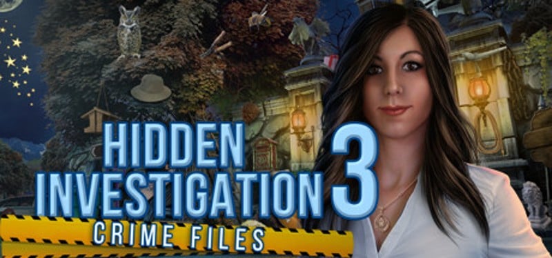 Hidden Investigation 3: Crime Files Game Cover