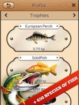 Let's Fish:Sport Fishing Games Image