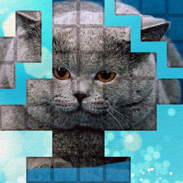 Games like PicPu Cat Puzzle