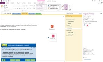 Professor Teaches® OneNote 2013 & 365 Image