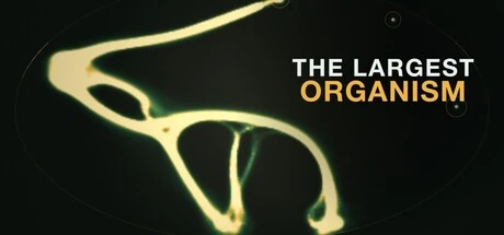 Games like The Largest Organism