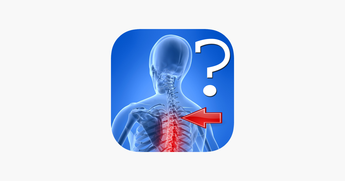 Games like Anatomy Spine Quiz