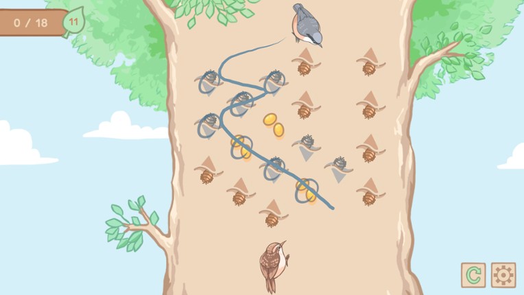 Birds Eat Bugs Image