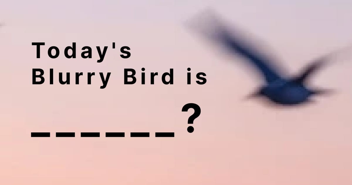 Games like Blurry Birds