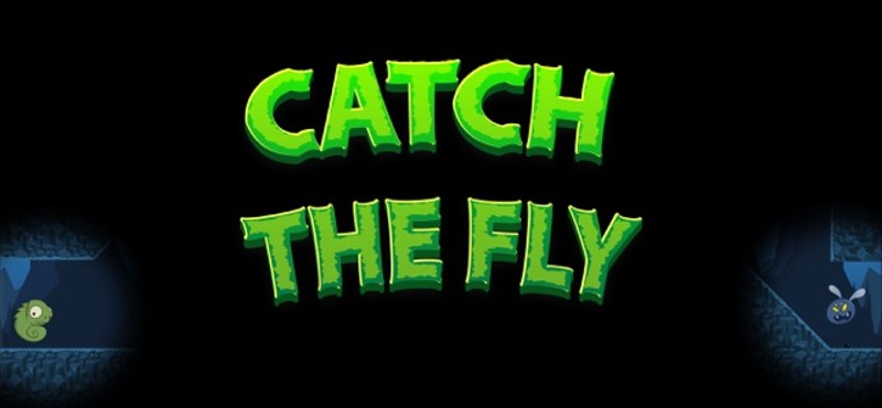 Catch The Fly Game screenshot