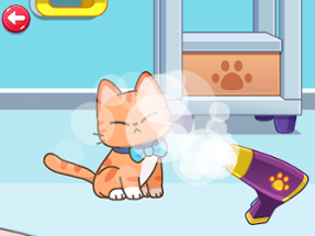 Cat Games for kids Image