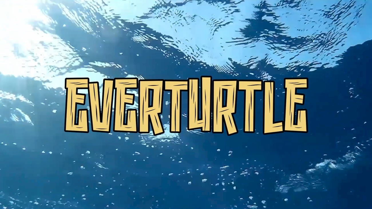 Games like EverTurtle