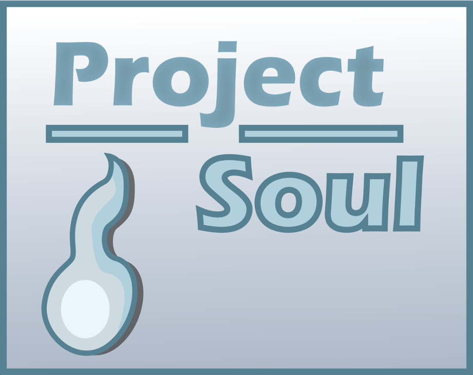 Games like Project Soul