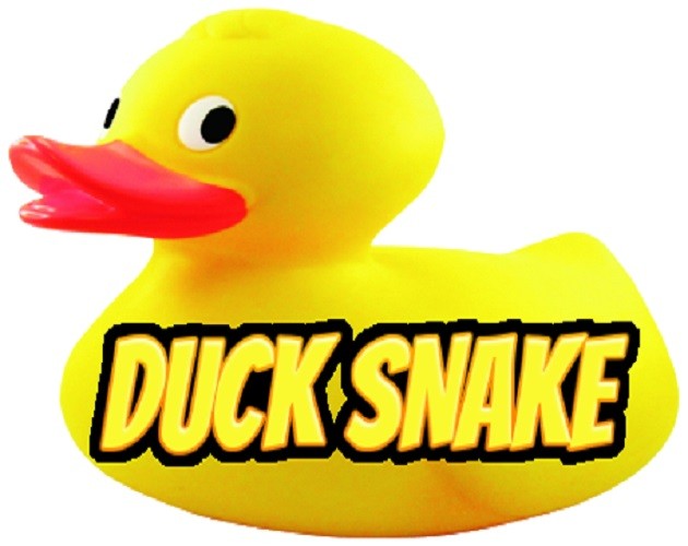 Games like Duck Snake
