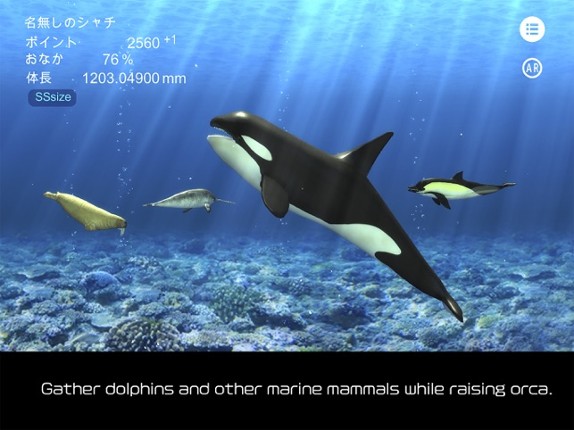 Orca and marine mammals screenshot