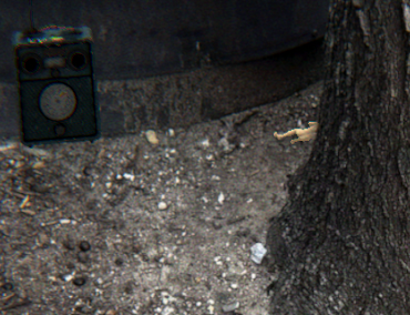 Games like tree pits