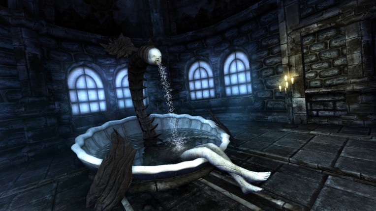 Amnesia: Collection Image
