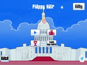 Donald Trump: Flappy Hair Image