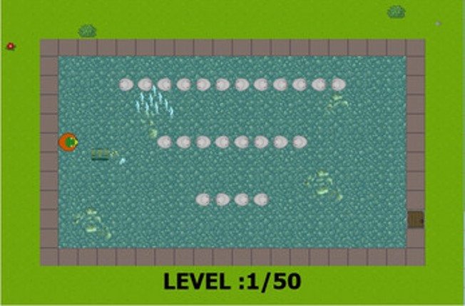 Duck Snake Image