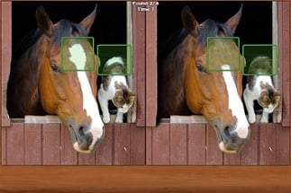 Horses Spot the Difference Image